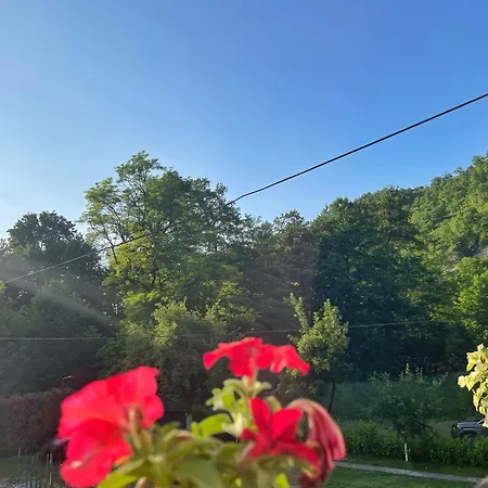 Burić Сasa de vacaciones *
